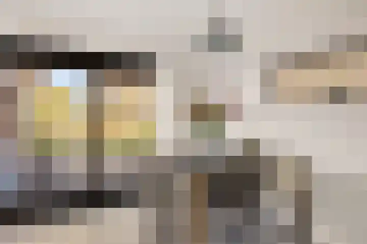 De Kubbing 15 Borger thumbnail 20