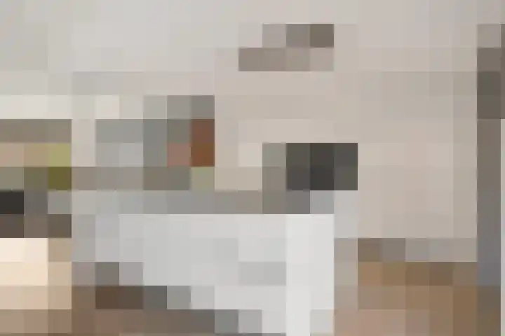 De Kubbing 15 Borger thumbnail 21