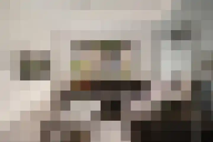 De Kubbing 15 Borger thumbnail 23