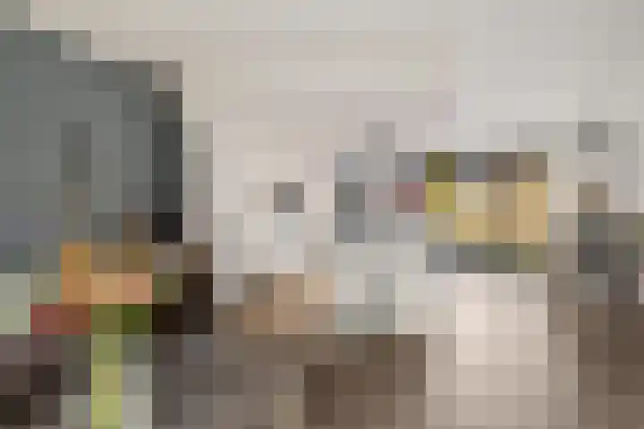 De Kubbing 15 Borger thumbnail 25
