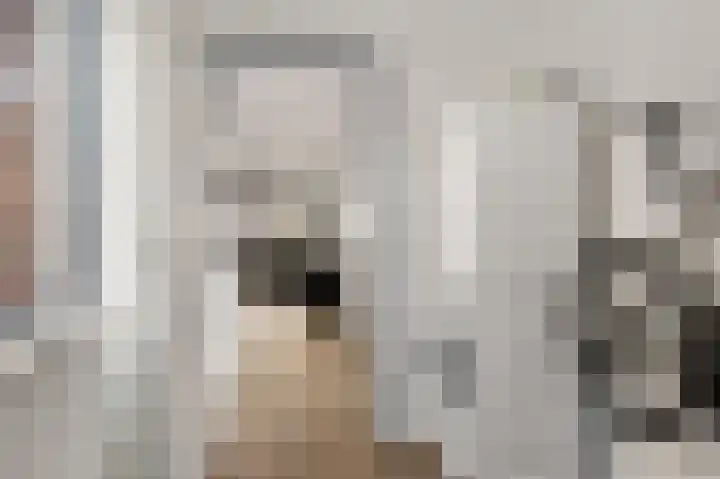 De Kubbing 15 Borger thumbnail 27