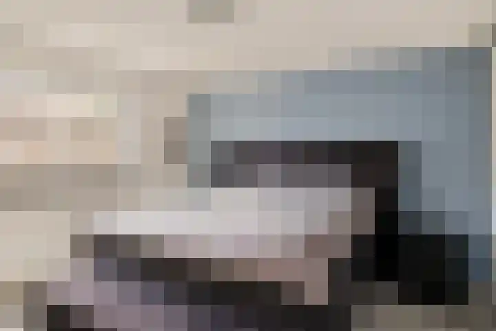De Kubbing 15 Borger thumbnail 29