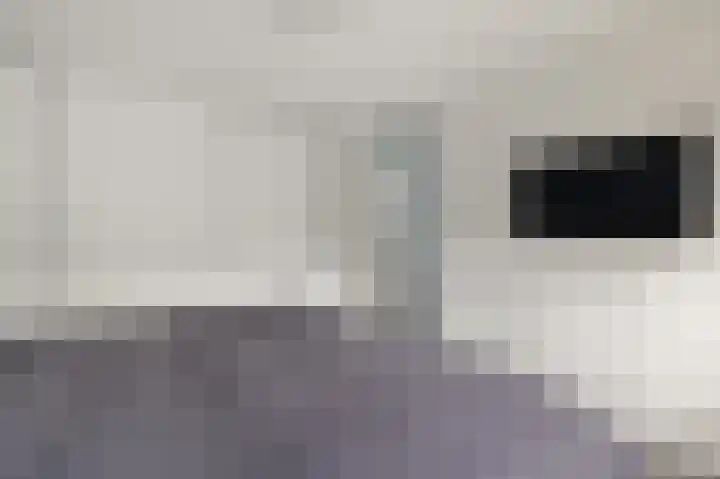 De Kubbing 15 Borger thumbnail 30