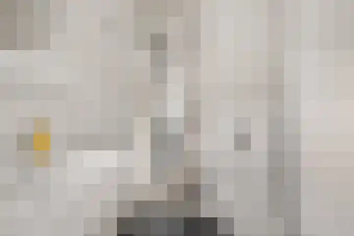 De Kubbing 15 Borger thumbnail 32