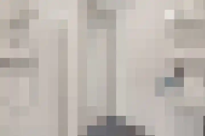 De Kubbing 15 Borger thumbnail 33