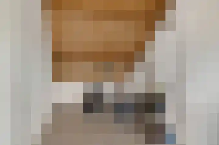 De Kubbing 15 Borger thumbnail 39