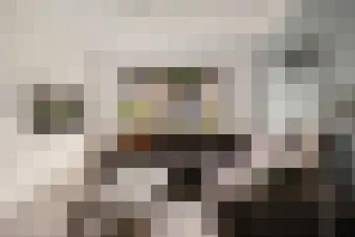 De Kubbing 15 Borger thumbnail 4