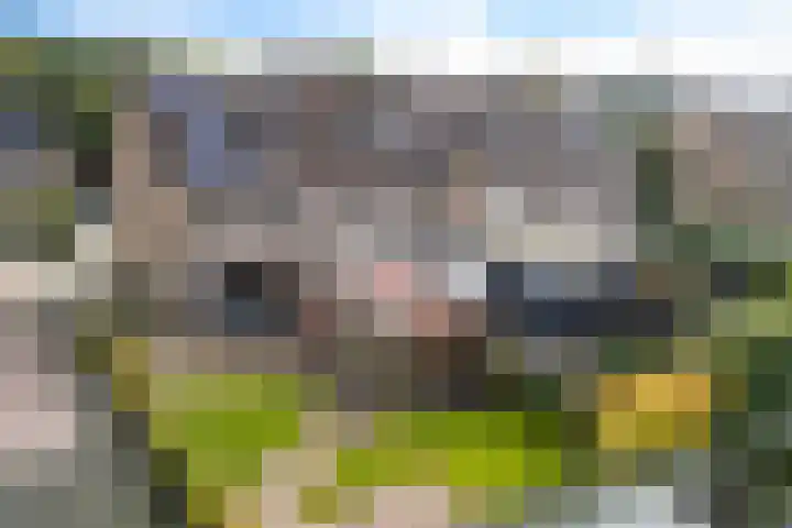 De Kubbing 15 Borger thumbnail 42