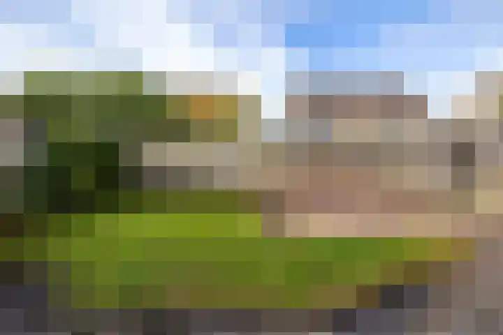 De Kubbing 15 Borger thumbnail 44