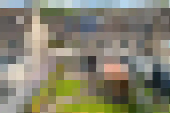 De Kubbing 15 Borger thumbnail 45