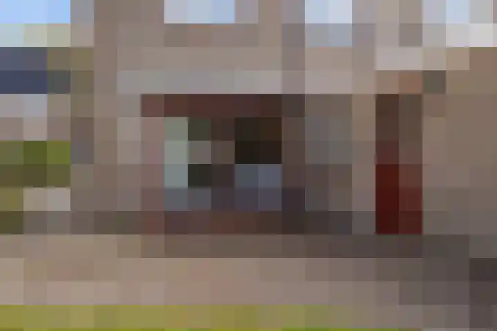 De Kubbing 15 Borger thumbnail 47