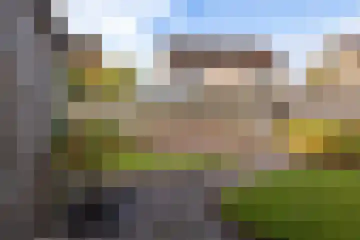 De Kubbing 15 Borger thumbnail 7