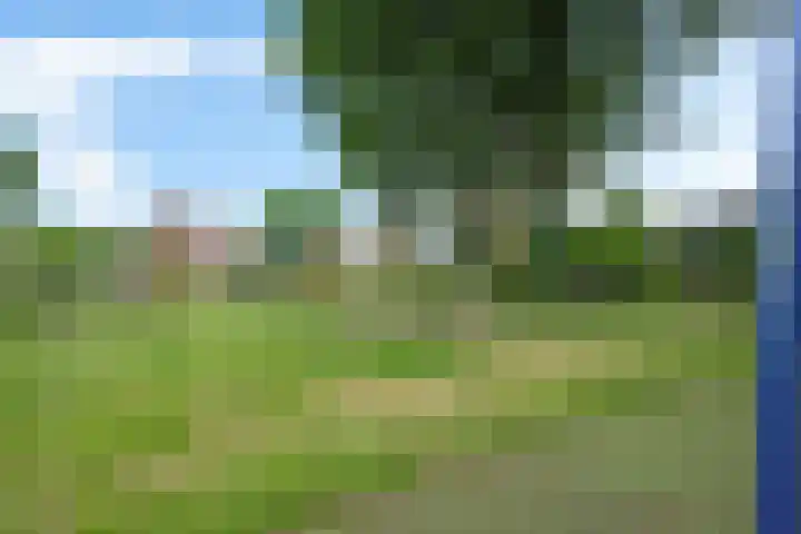 De Kubbing 30 Borger thumbnail 10