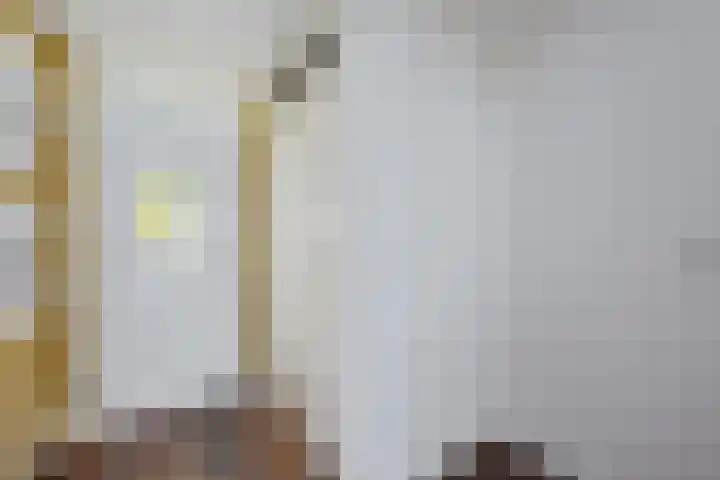 De Kubbing 30 Borger thumbnail 11