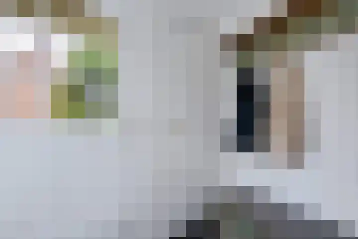 De Kubbing 30 Borger thumbnail 12