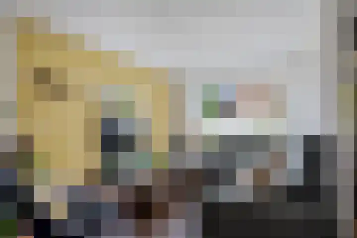 De Kubbing 30 Borger thumbnail 15
