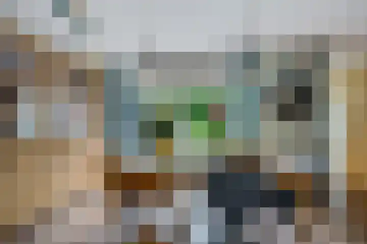 De Kubbing 30 Borger thumbnail 20