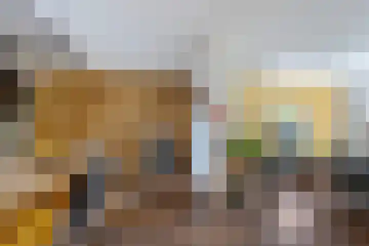De Kubbing 30 Borger thumbnail 21