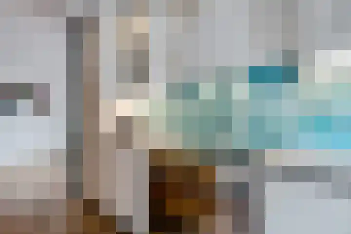 De Kubbing 30 Borger thumbnail 23