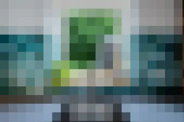 De Kubbing 30 Borger thumbnail 25