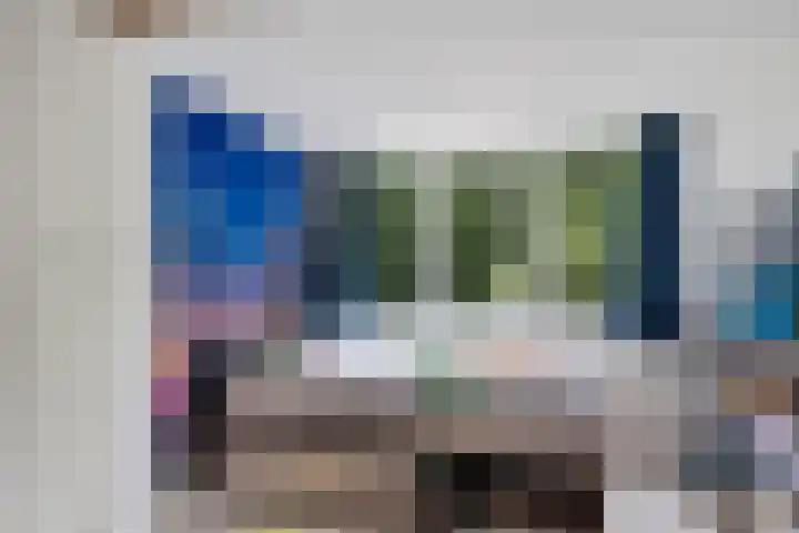 De Kubbing 30 Borger thumbnail 29