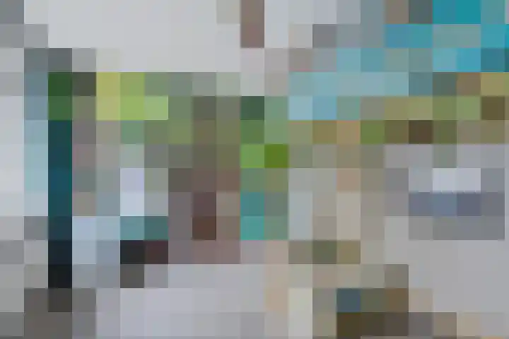 De Kubbing 30 Borger thumbnail 30