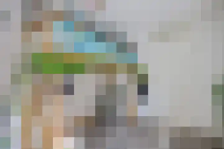 De Kubbing 30 Borger thumbnail 31