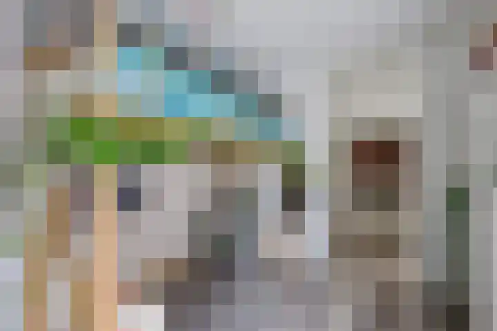 De Kubbing 30 Borger thumbnail 32