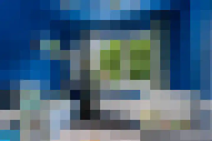 De Kubbing 30 Borger thumbnail 33
