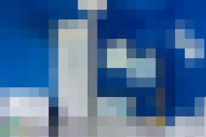 De Kubbing 30 Borger thumbnail 34
