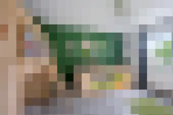 De Kubbing 30 Borger thumbnail 36
