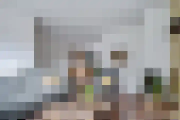 De Kubbing 30 Borger thumbnail 4