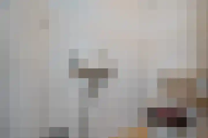 De Kubbing 30 Borger thumbnail 40