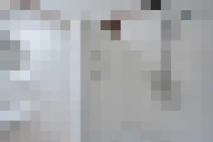 De Kubbing 30 Borger thumbnail 43