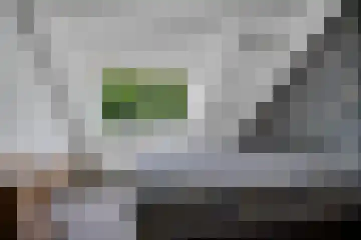 De Kubbing 30 Borger thumbnail 44