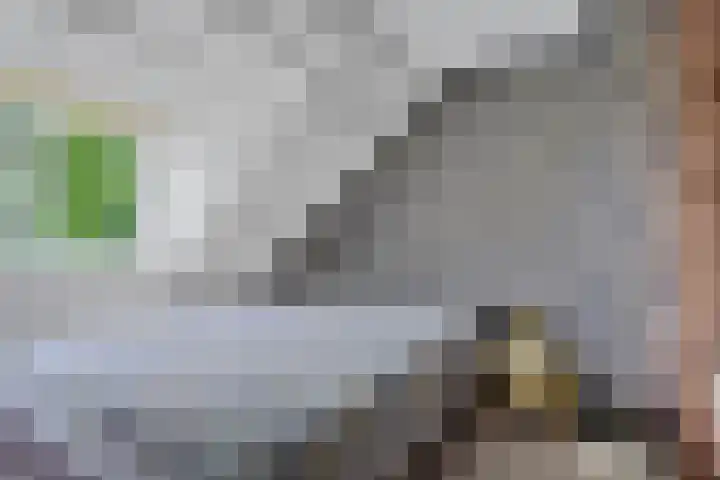 De Kubbing 30 Borger thumbnail 45