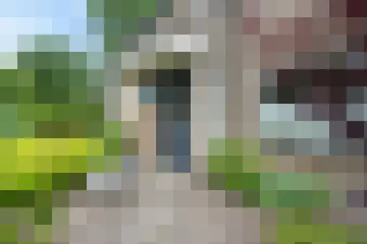 De Kubbing 30 Borger thumbnail 8