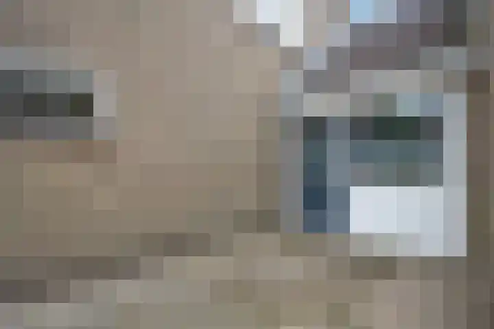 De Kubbing 30 Borger thumbnail 9