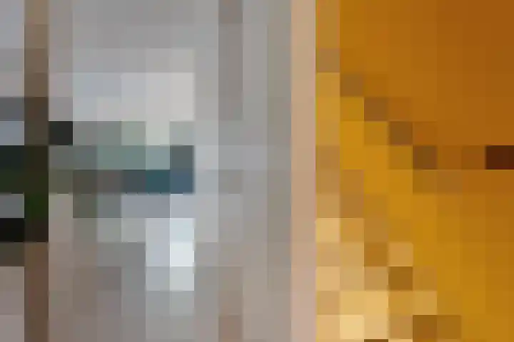 De Kubbing 4 Borger thumbnail 13