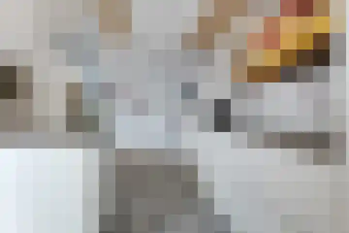 De Kubbing 4 Borger thumbnail 21