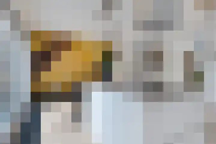 De Kubbing 4 Borger thumbnail 22
