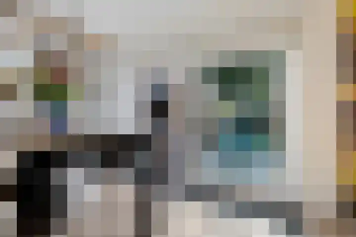 De Kubbing 4 Borger thumbnail 24