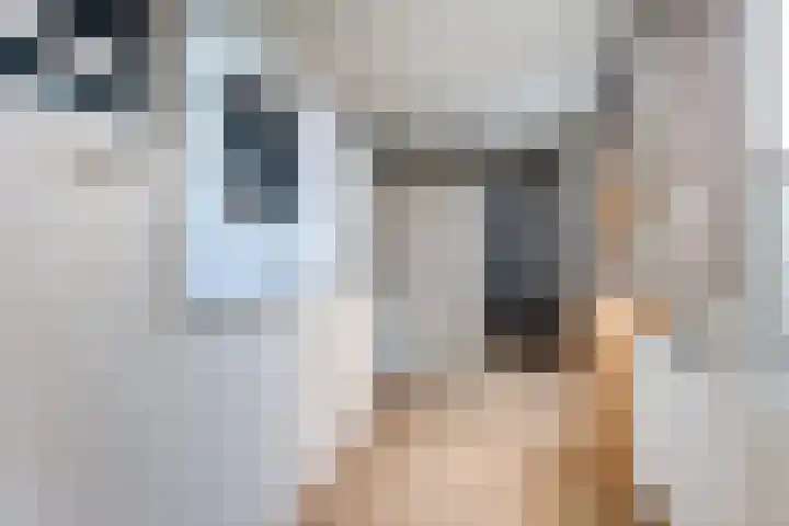 De Kubbing 4 Borger thumbnail 26