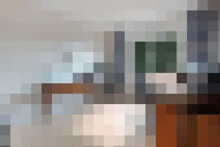 De Kubbing 4 Borger thumbnail 34