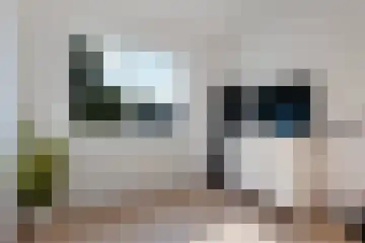 De Kubbing 4 Borger thumbnail 38