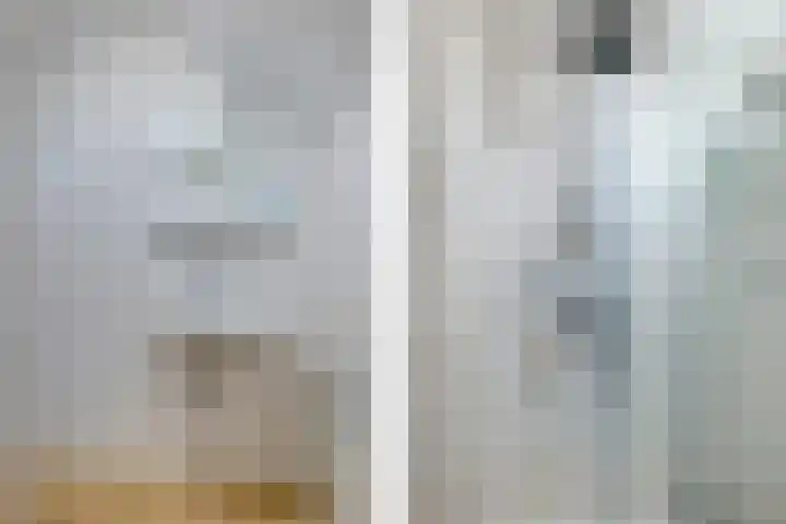 De Kubbing 4 Borger thumbnail 44