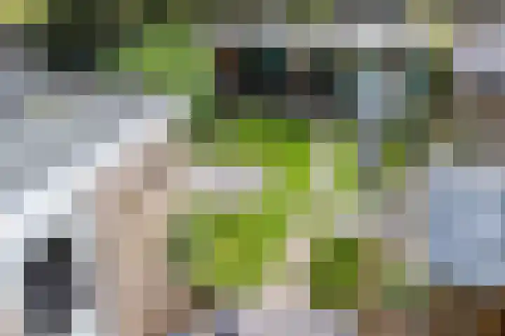 De Kubbing 4 Borger thumbnail 45
