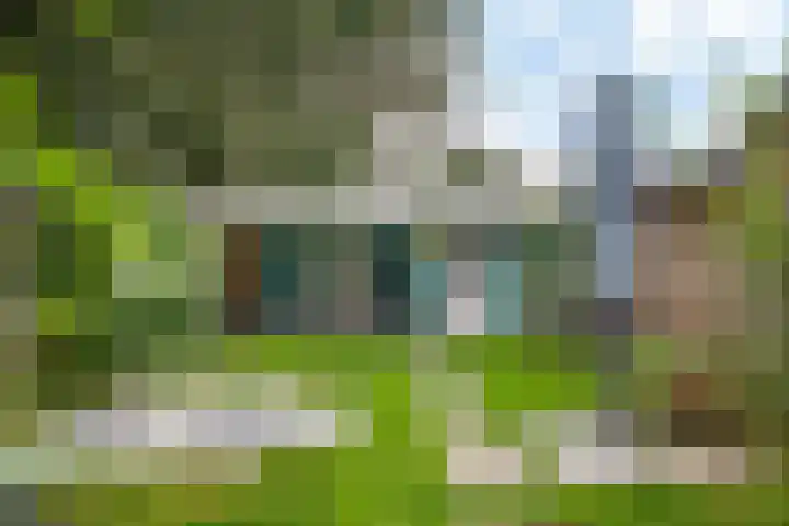 De Kubbing 4 Borger thumbnail 47