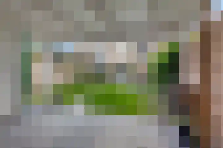 De Kubbing 4 Borger thumbnail 50