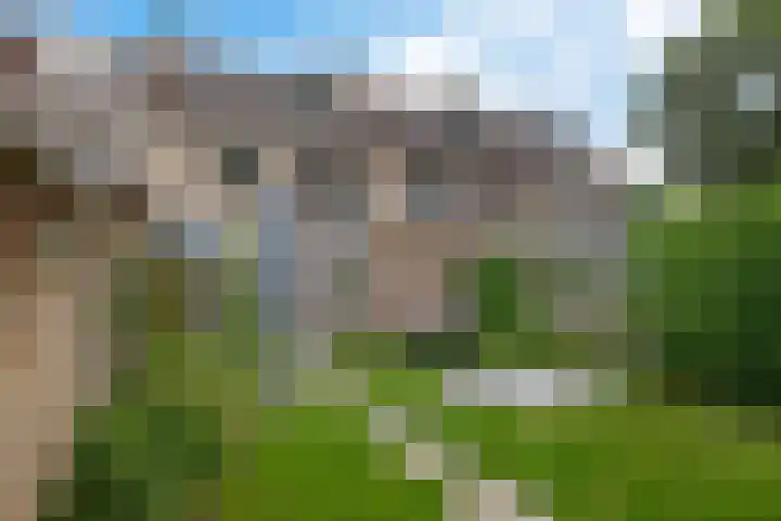 De Kubbing 4 Borger thumbnail 51